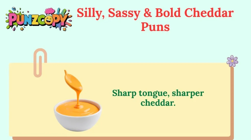 Silly, Sassy & Bold Cheddar Puns
