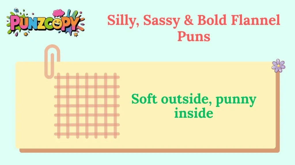 Silly, Sassy & Bold Flannel Puns
