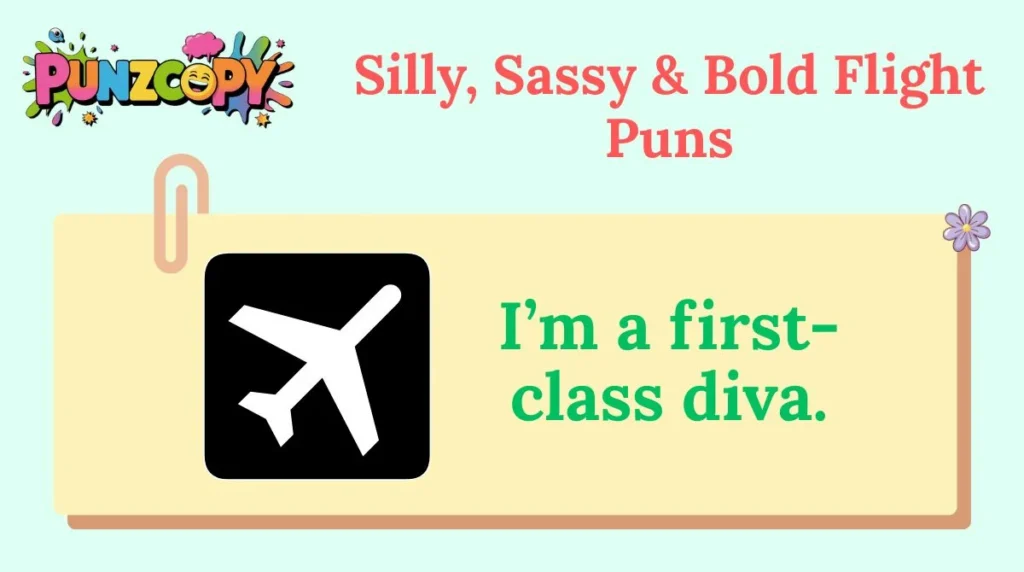 Silly, Sassy & Bold Flight Puns