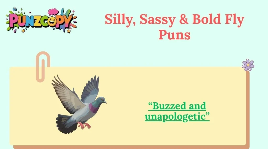 Silly, Sassy & Bold Fly Puns