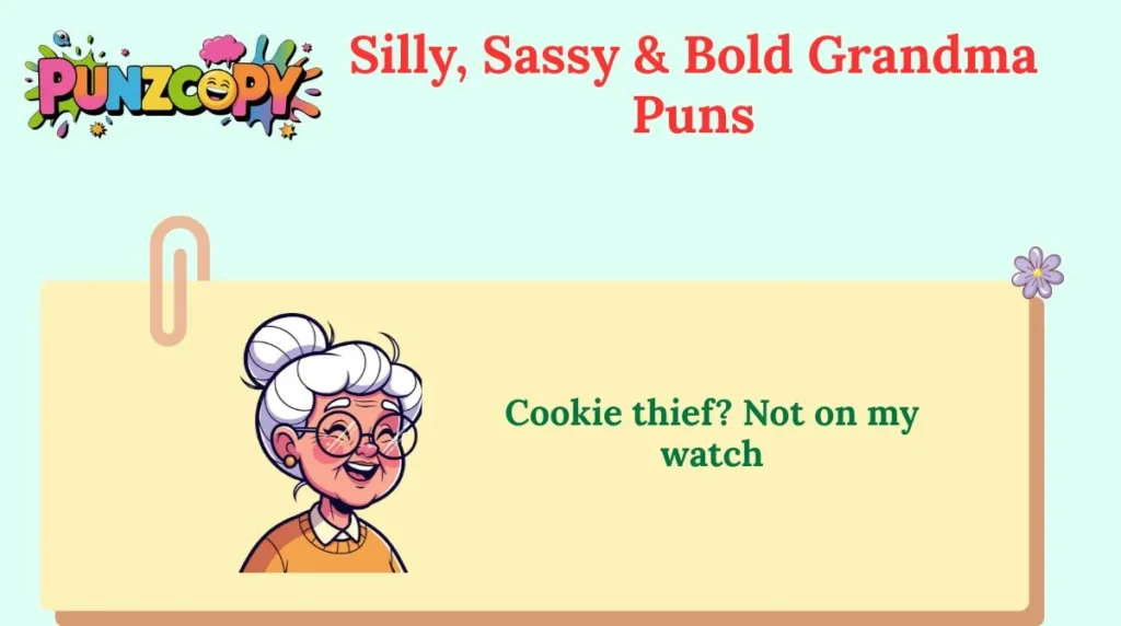 Silly, Sassy & Bold Grandma Puns