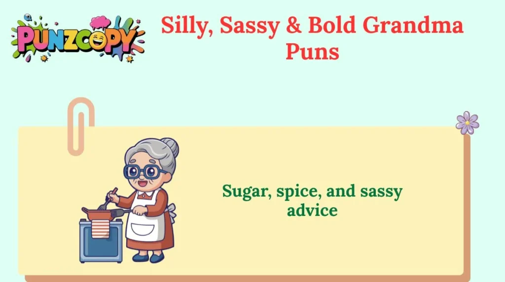 Silly, Sassy & Bold Grandma Puns