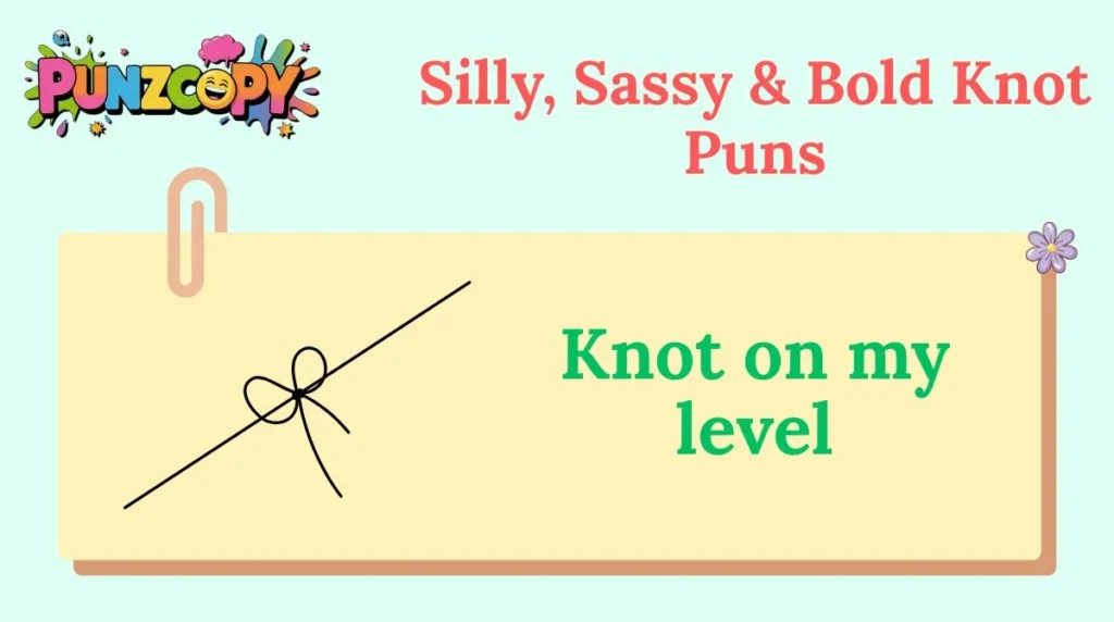 Silly, Sassy & Bold Knot Puns