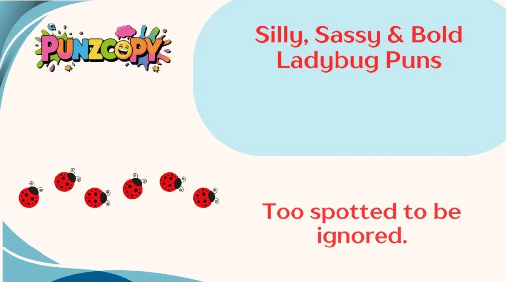 Silly, Sassy & Bold Ladybug Puns