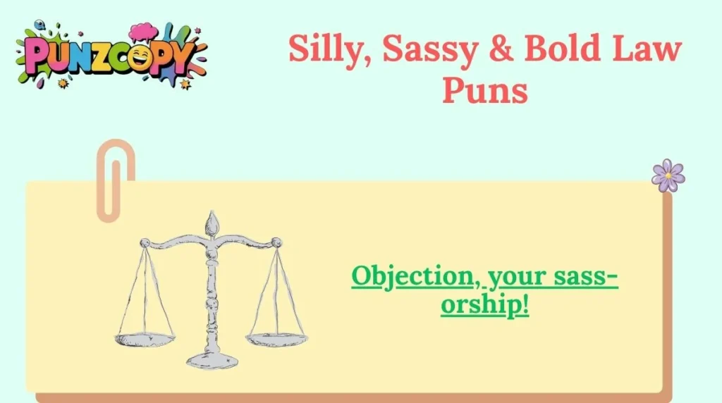 Silly, Sassy & Bold Law Puns