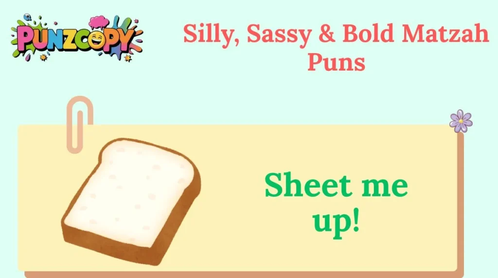 Silly, Sassy & Bold Matzah Puns