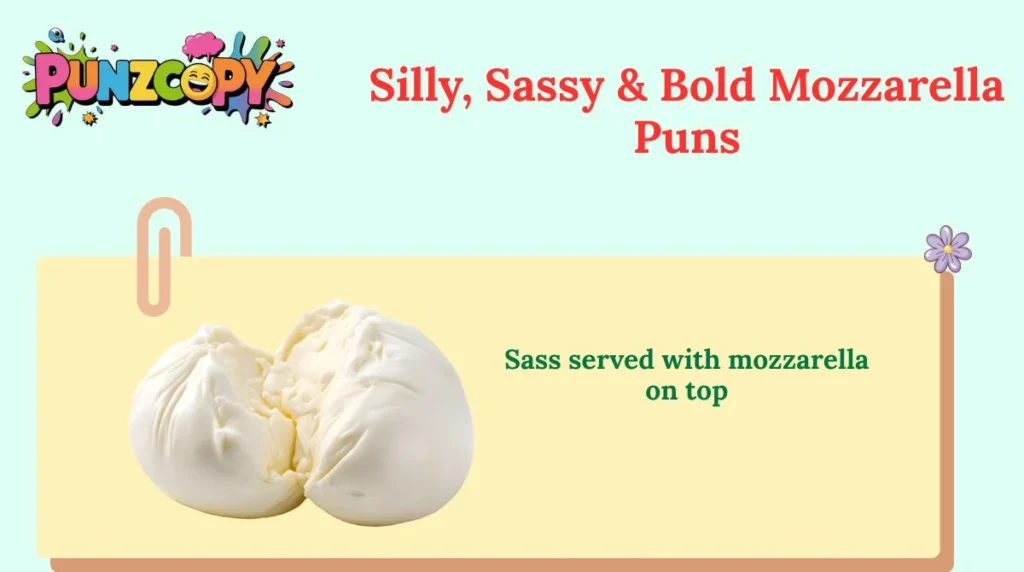 Silly, Sassy & Bold Mozzarella Puns