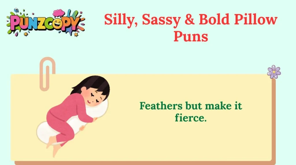 Silly, Sassy & Bold Pillow Puns