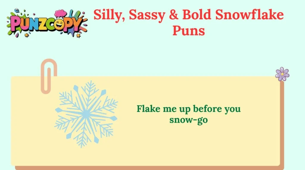 Silly, Sassy & Bold Snowflake Puns
