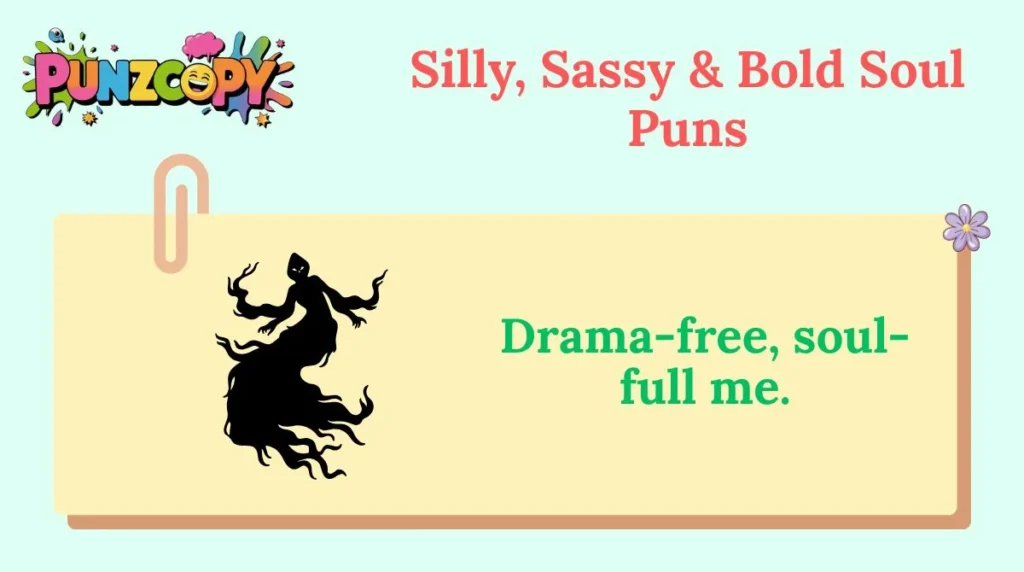 Silly, Sassy & Bold Soul Puns