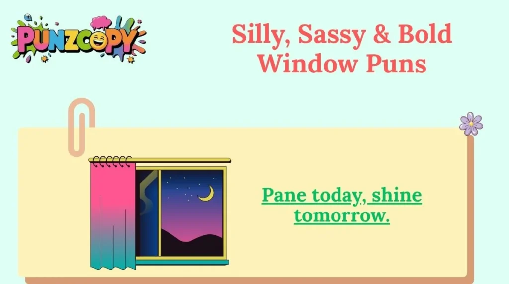 Silly, Sassy & Bold Window Puns