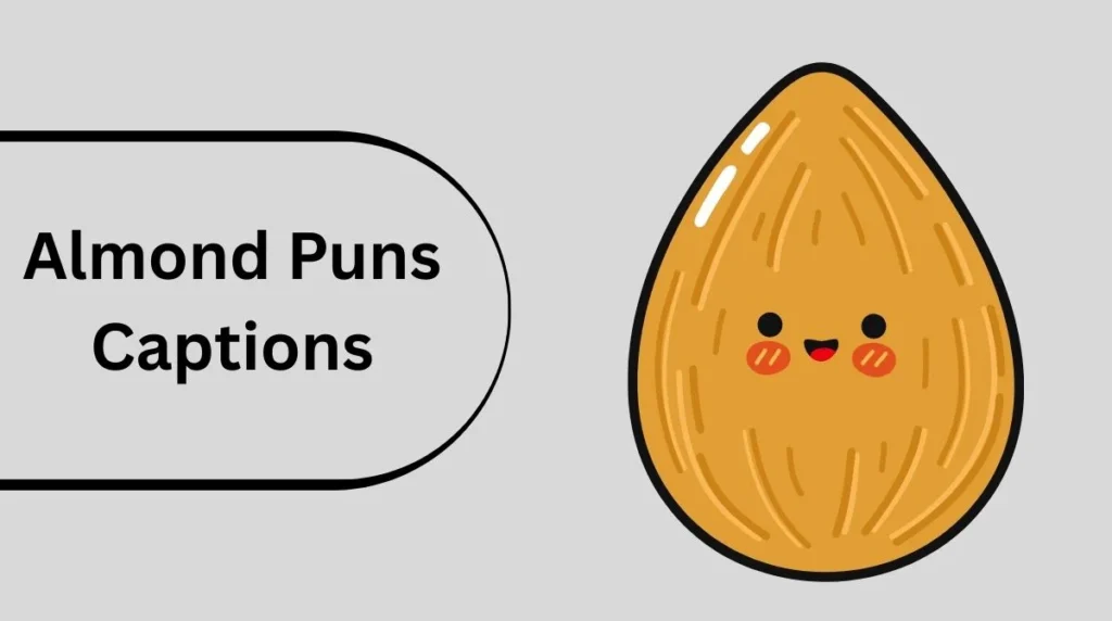 Almond Puns Captions