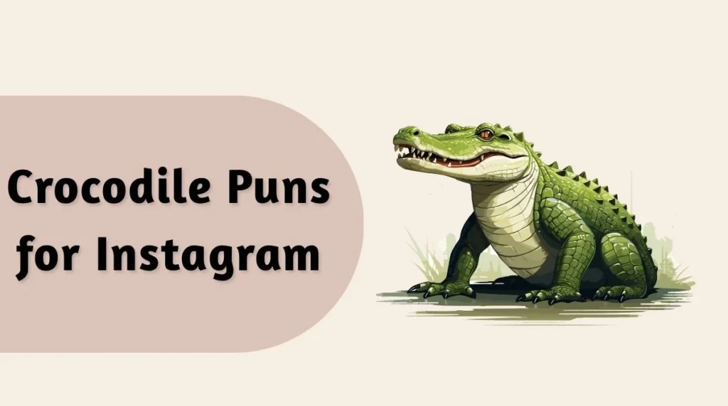 Crocodile Puns for Instagram