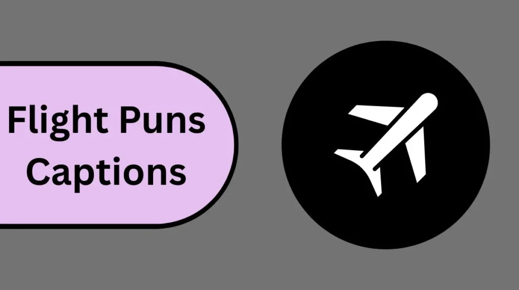 Flight Puns Captions