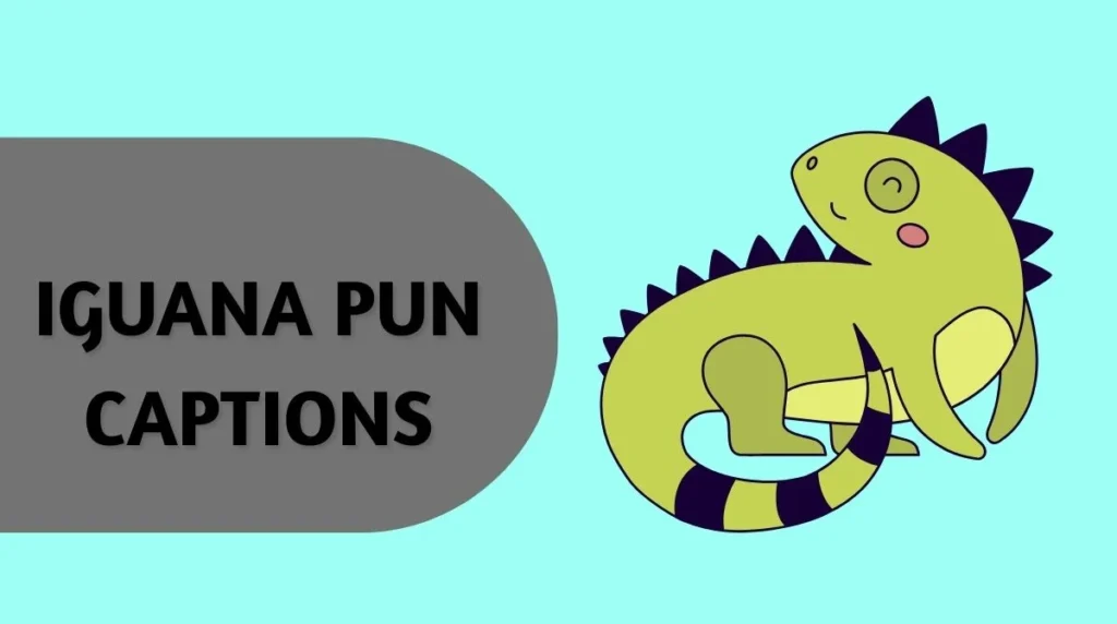 Iguana Pun Captions