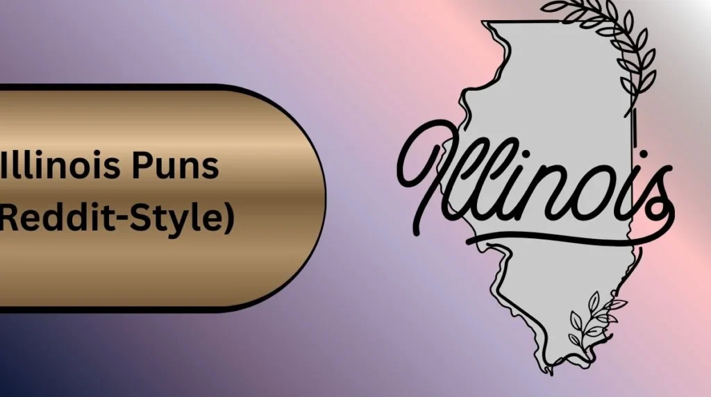 Illinois Puns (Reddit-Style)