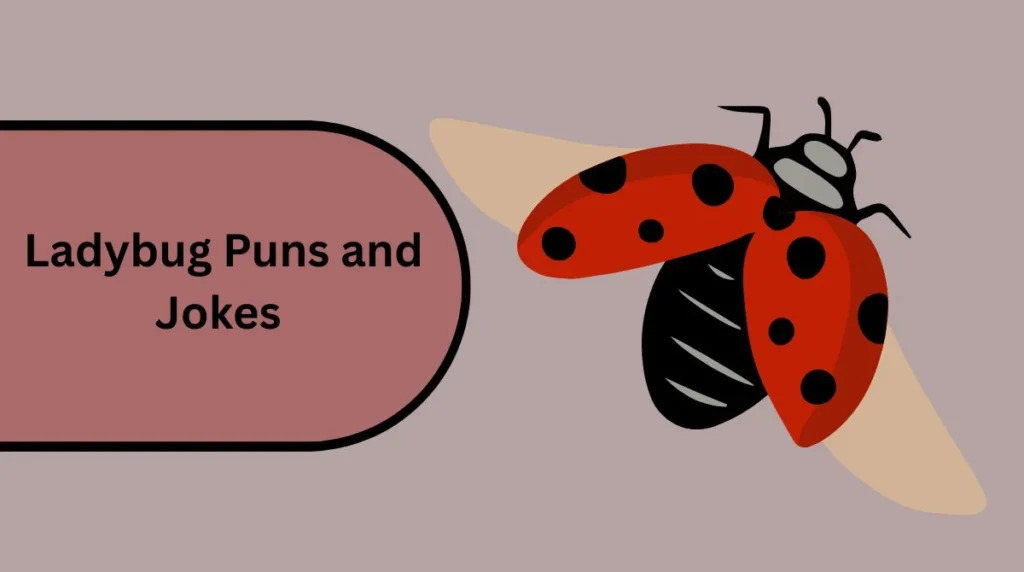Ladybug Puns and Jokes