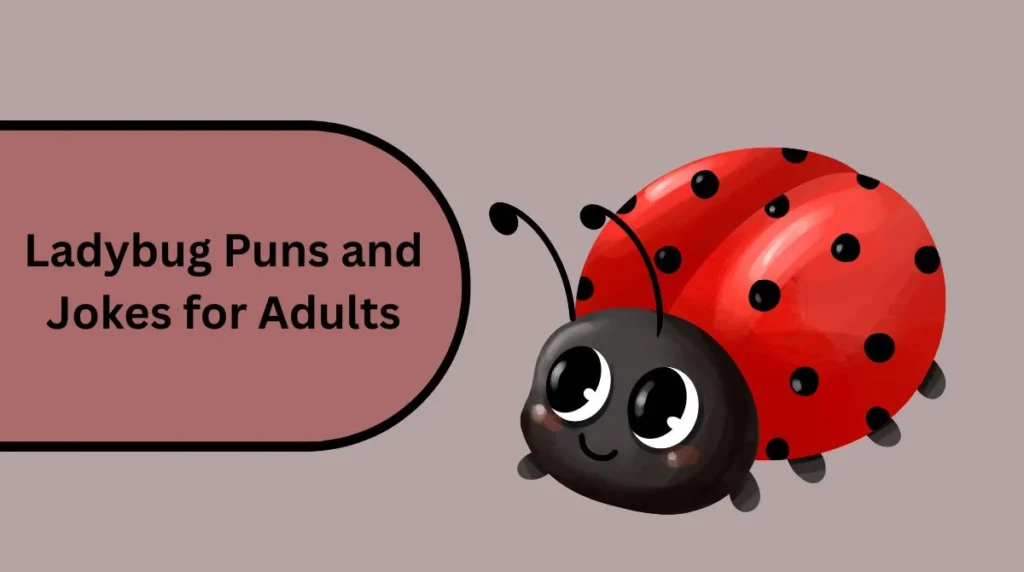 Ladybug Puns and Jokes for Adults