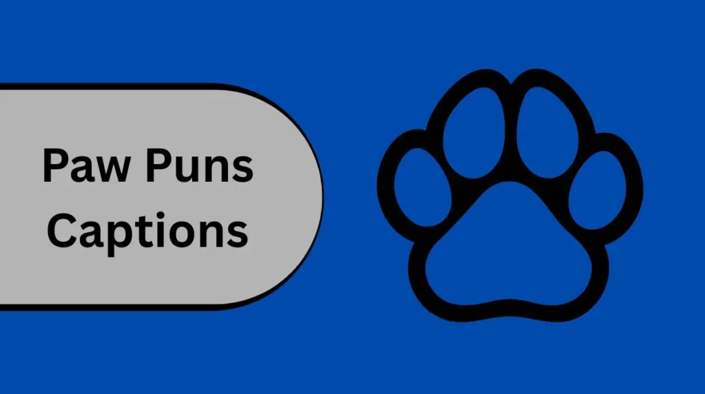 Paw Puns Captions