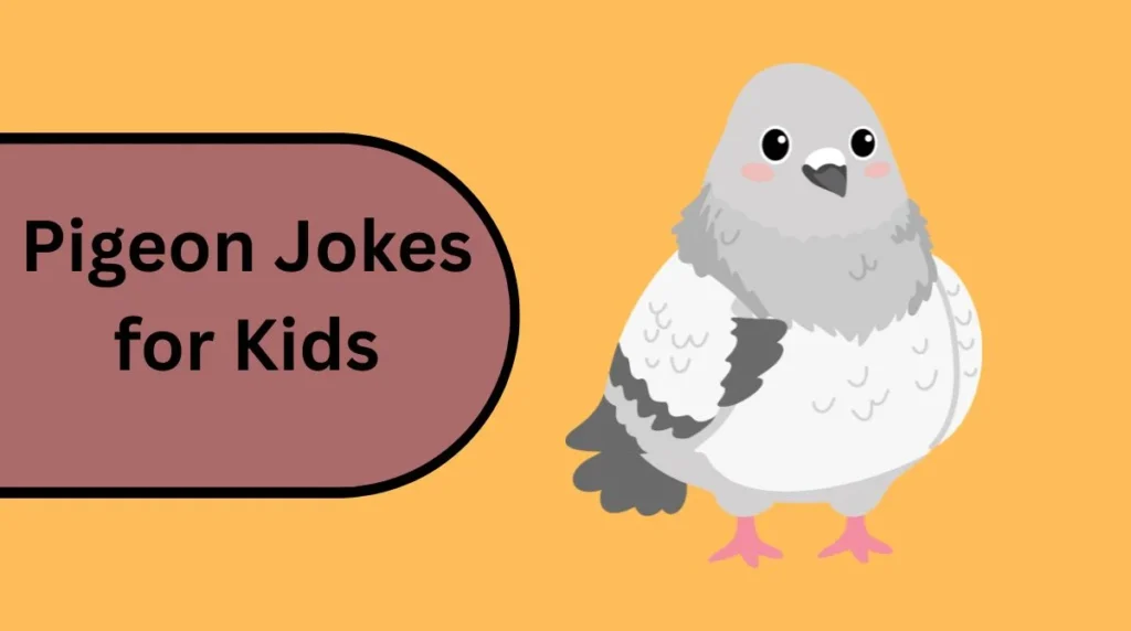 Pigeon Jokes for Kids