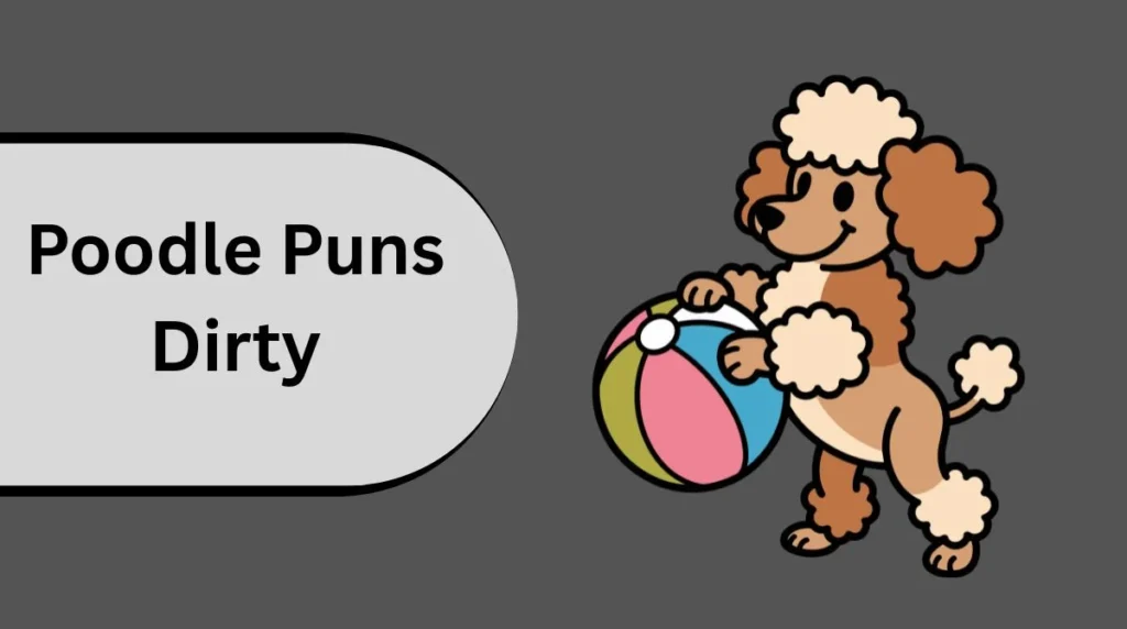 Poodle Puns Dirty