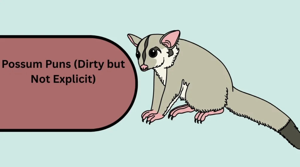 Possum Puns (Dirty but Not Explicit)