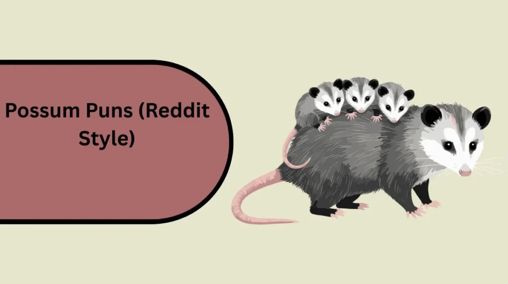 Possum Puns (Reddit Style)