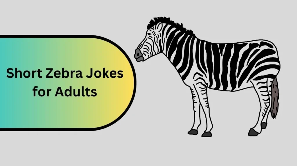 Short Zebra Jokes for Adults