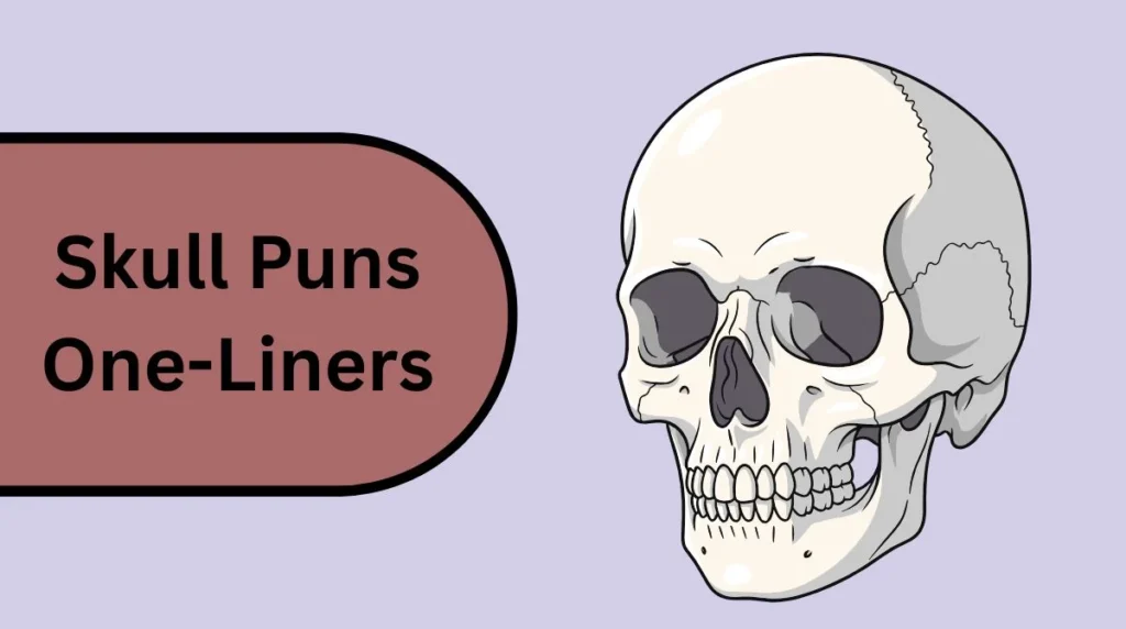 Skull Puns One-Liners