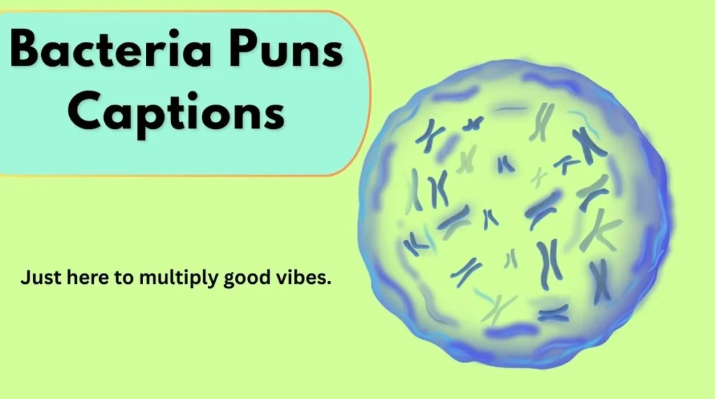 Bacteria Puns Captions