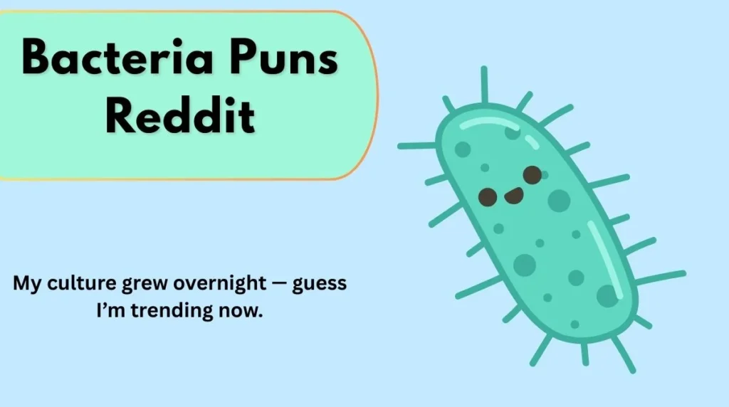 Bacteria Puns Reddit