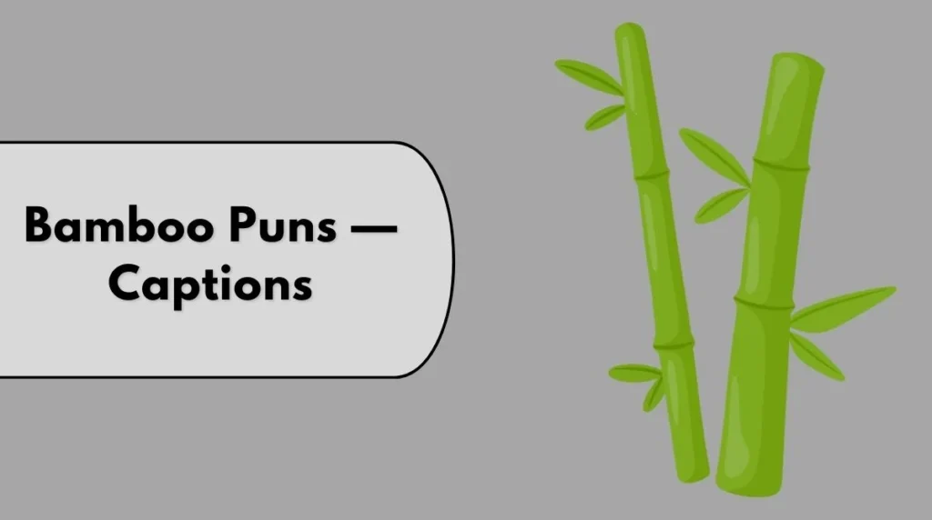 Bamboo Puns — Captions