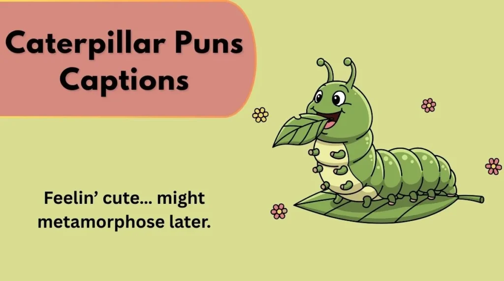 Caterpillar Puns Captions