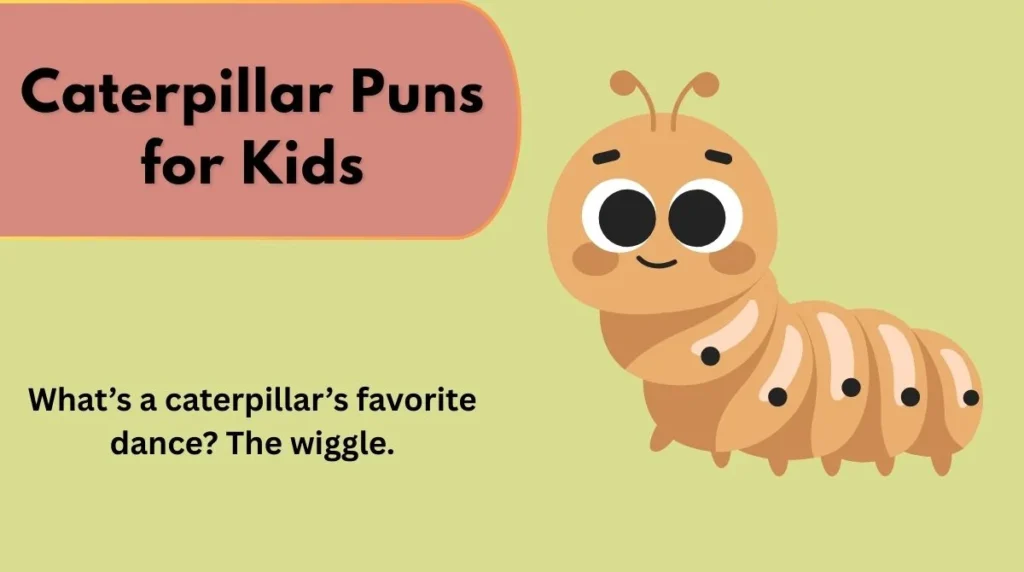 Caterpillar Puns for Kids