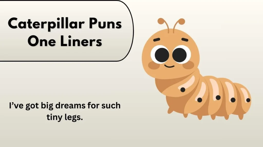 Caterpillar Puns One Liners