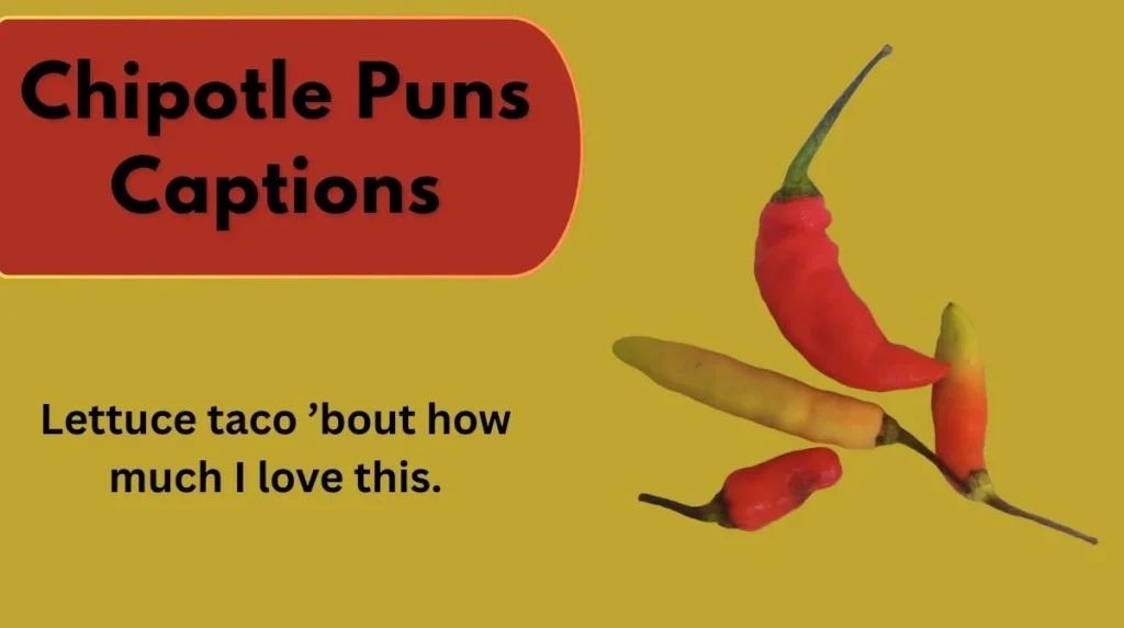 Chipotle Puns Captions