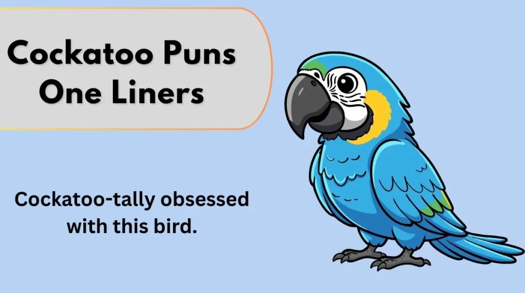 Cockatoo Puns One Liners