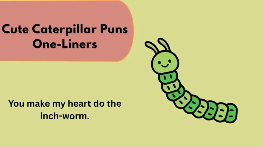Cute Caterpillar Puns One-Liners