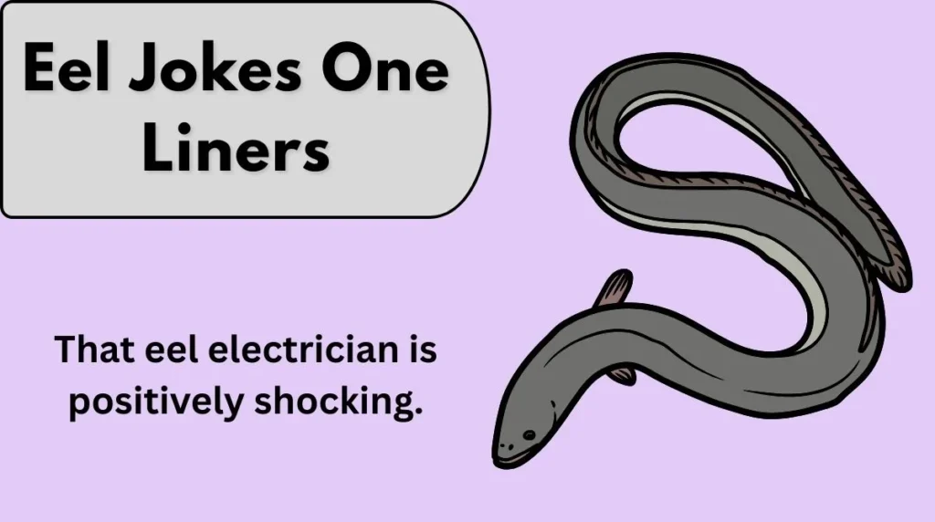 Eel Jokes One Liners