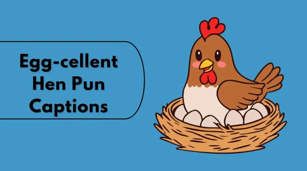 Egg-cellent Hen Pun Captions