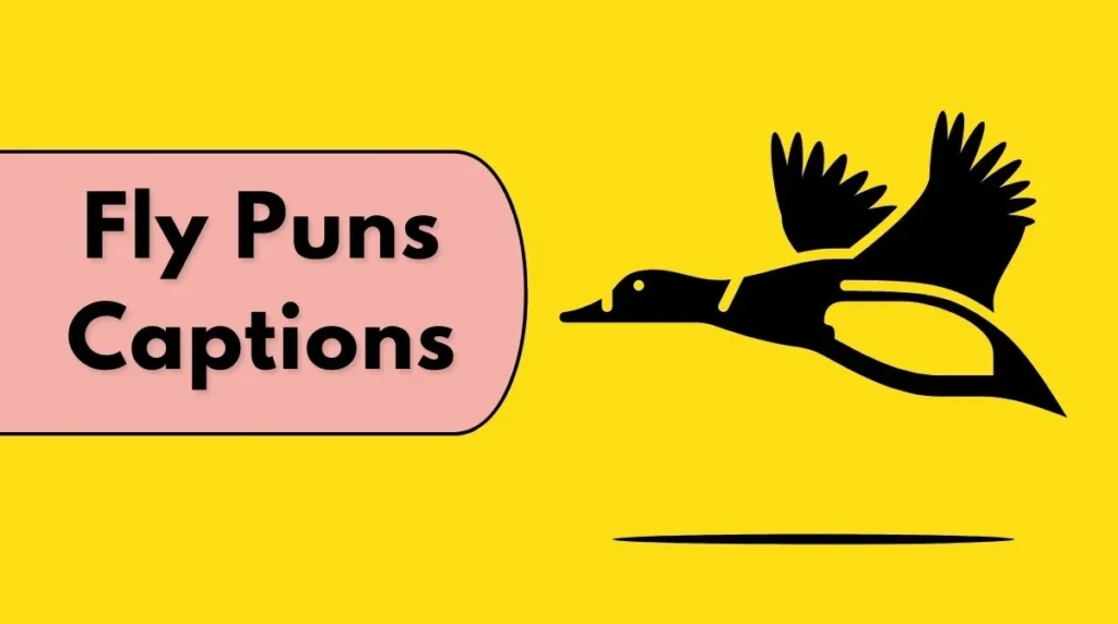Fly Puns Captions