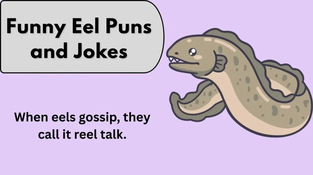 Funny Eel Puns and Jokes