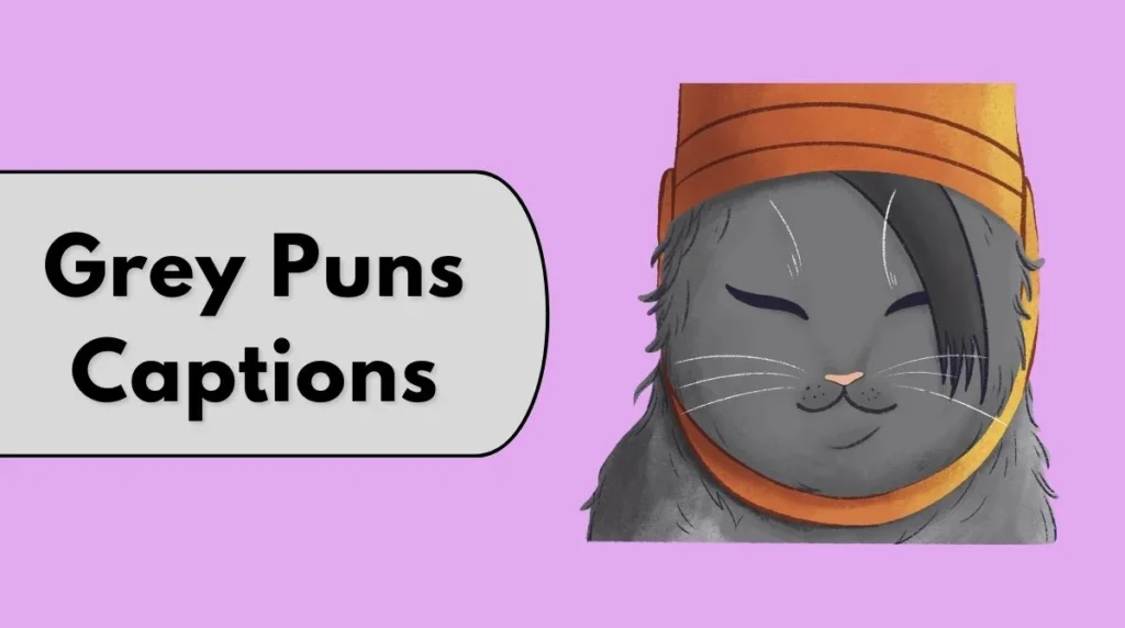 Grey Puns Captions