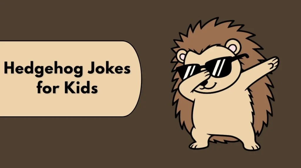 Hedgehog Jokes for Kids