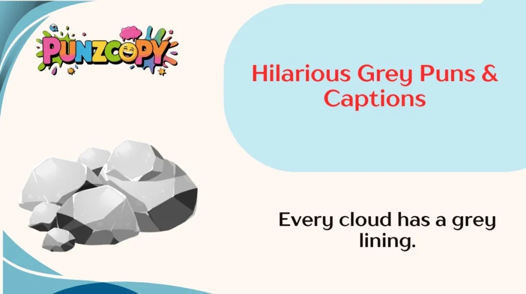 Hilarious Grey Puns & Captions