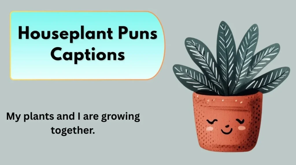 Houseplant Puns Captions