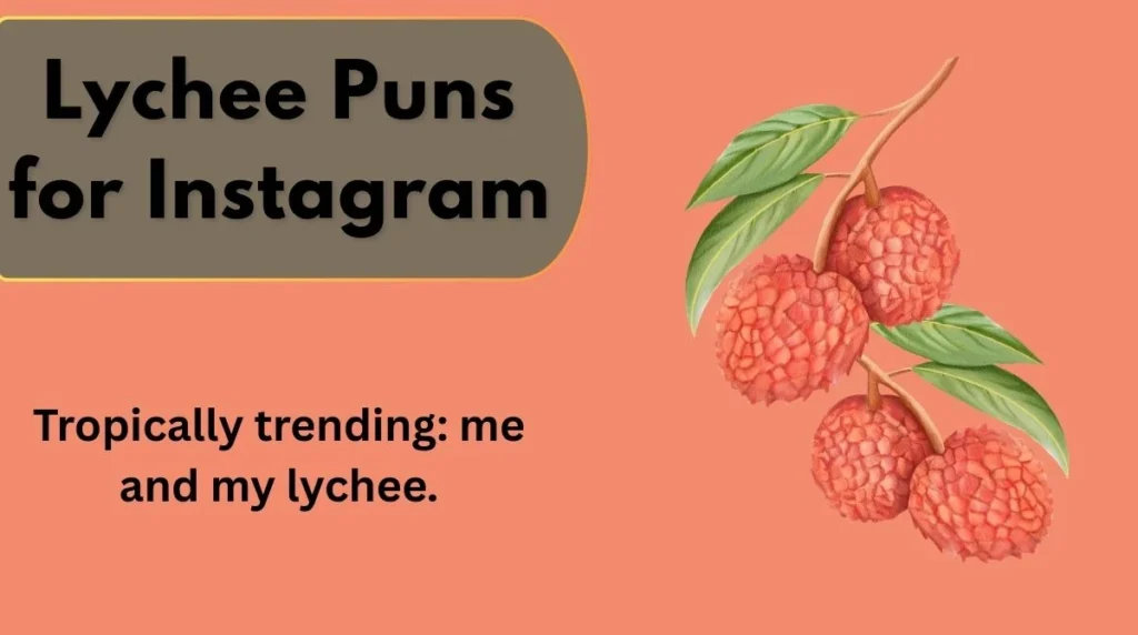 Lychee Puns for Instagram