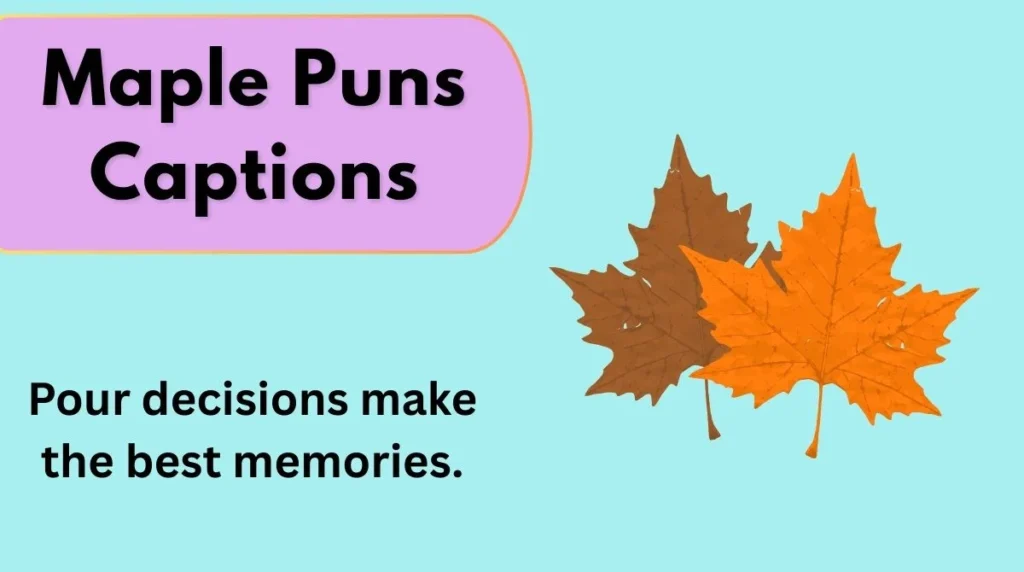 Maple Puns Captions