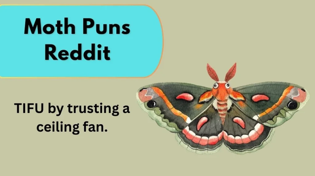 Moth Puns Reddit
