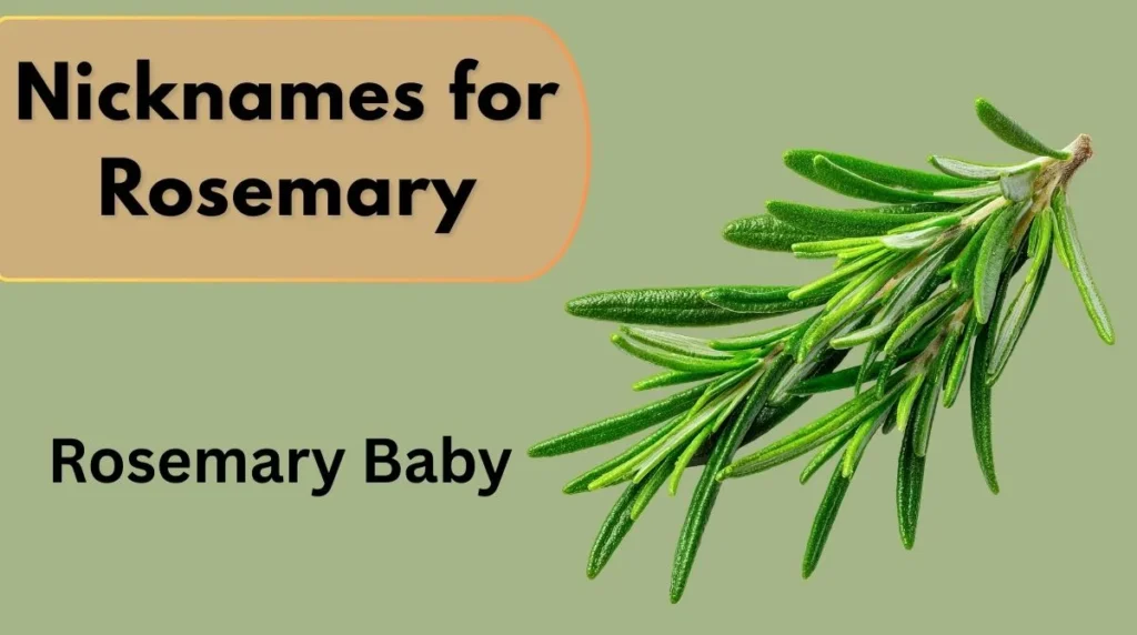 Nicknames for Rosemary
